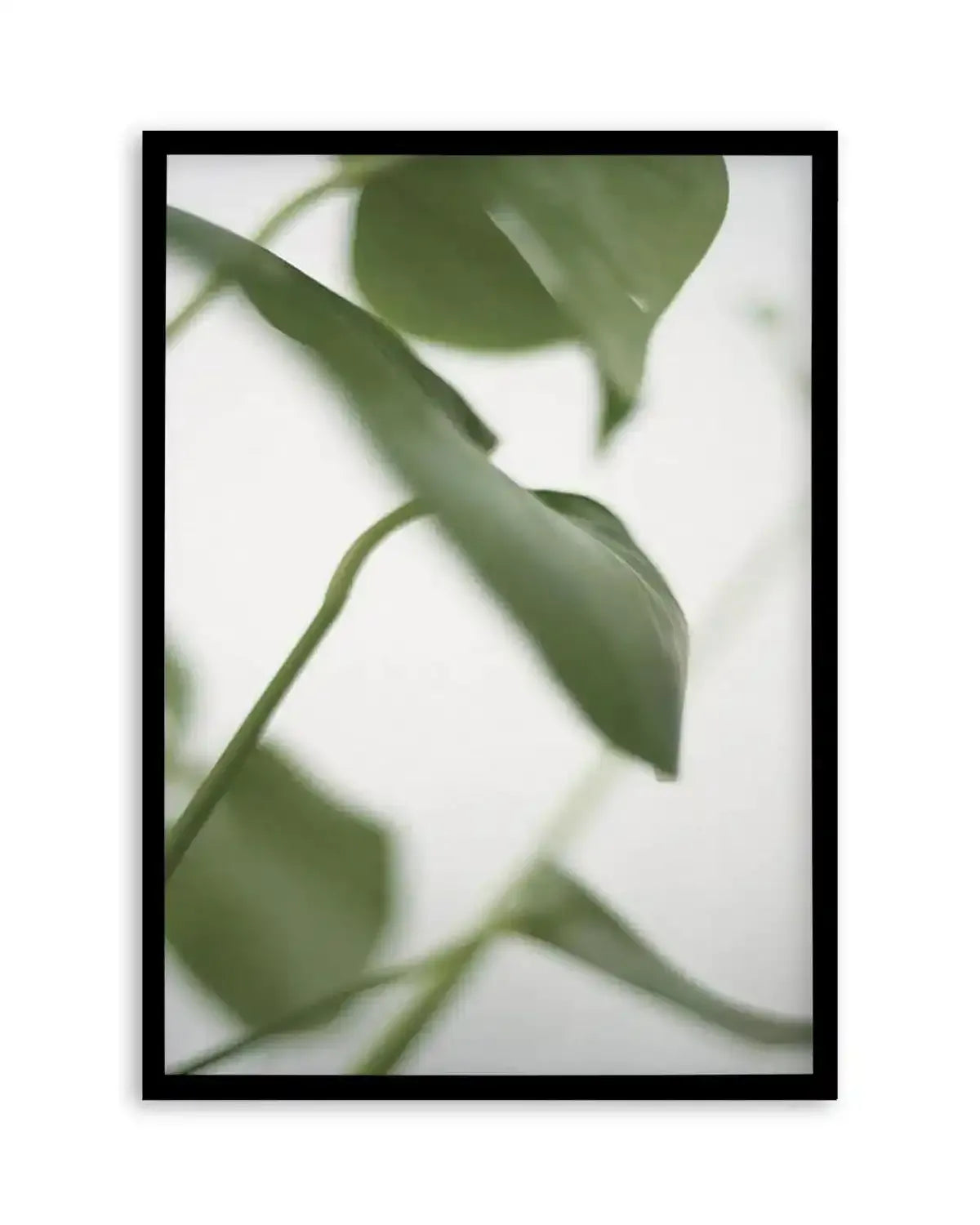 Monstera I Art Print from Olive et Oriel where you can shop wallpaper and artworks online