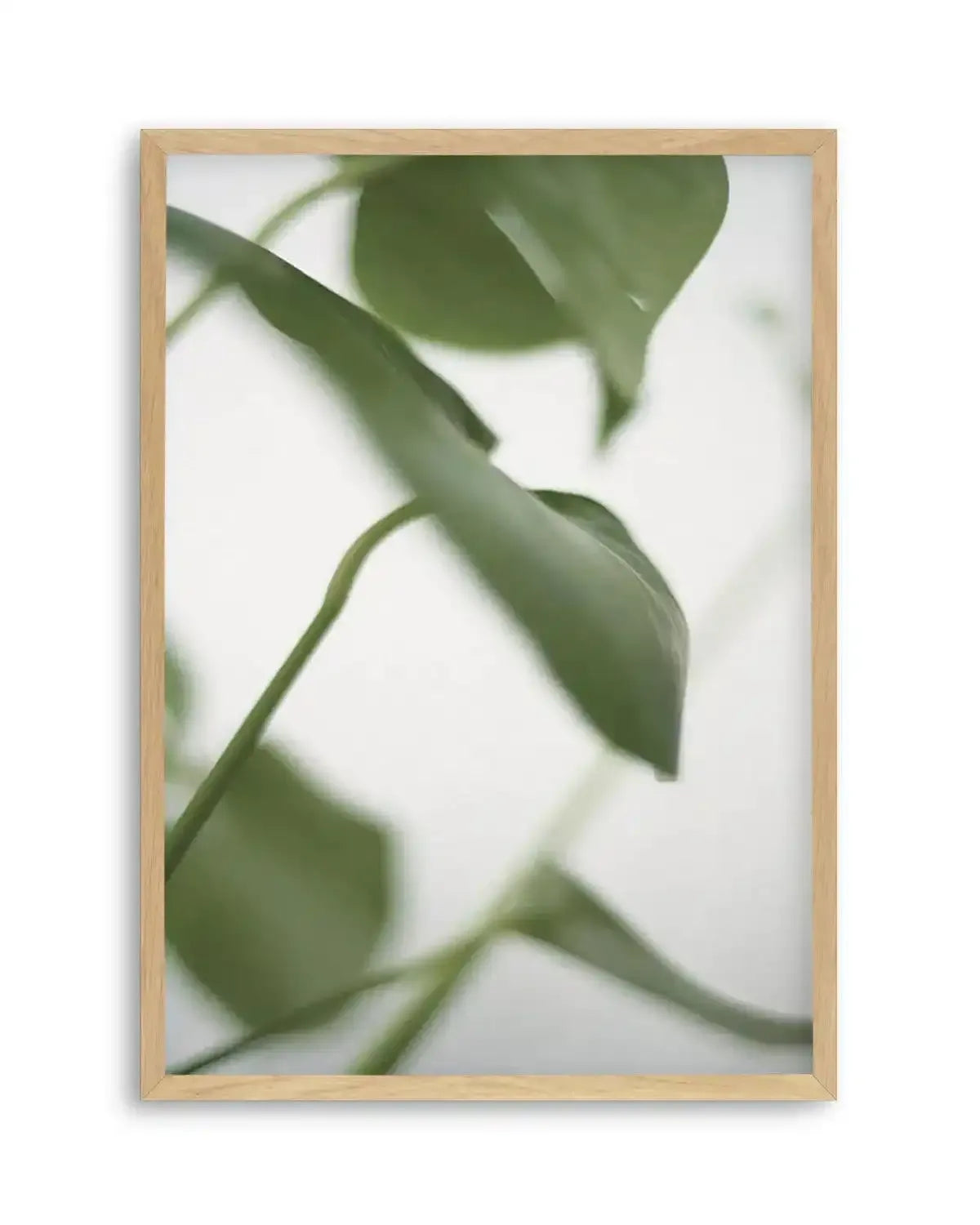 Monstera I Art Print from Olive et Oriel where you can shop wallpaper and artworks online