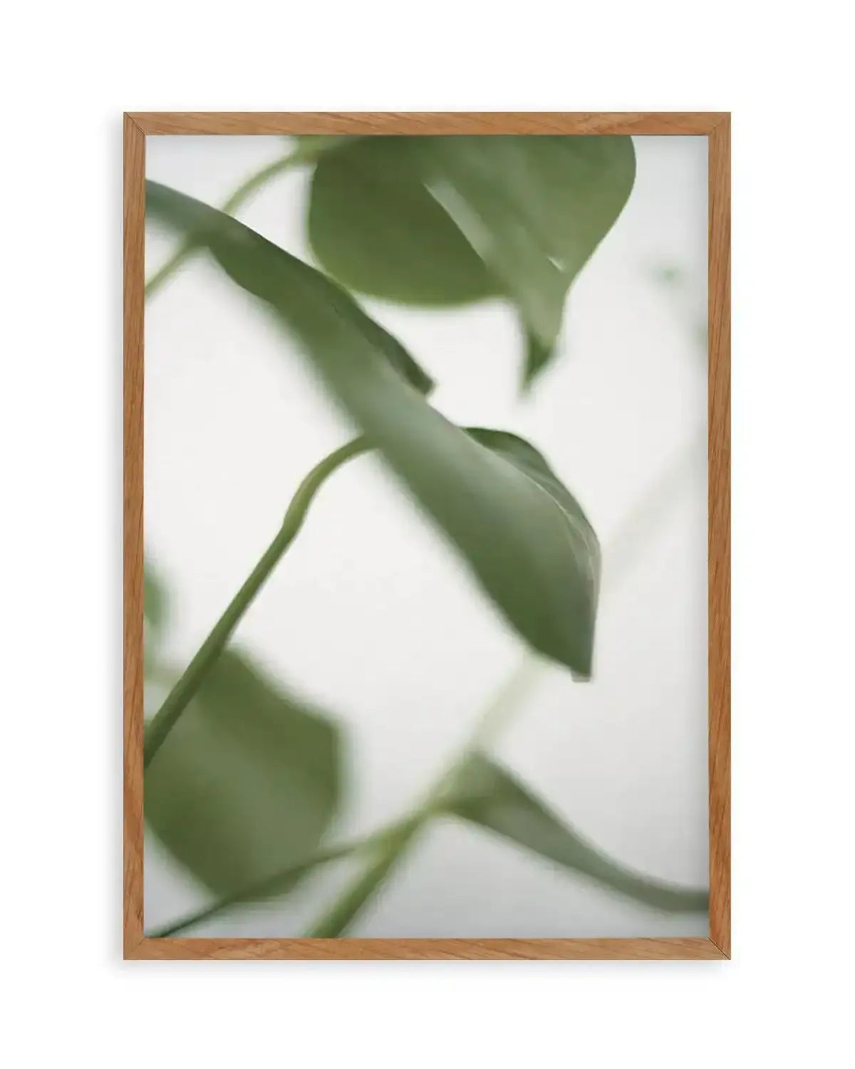 Monstera I Art Print from Olive et Oriel where you can shop wallpaper and artworks online