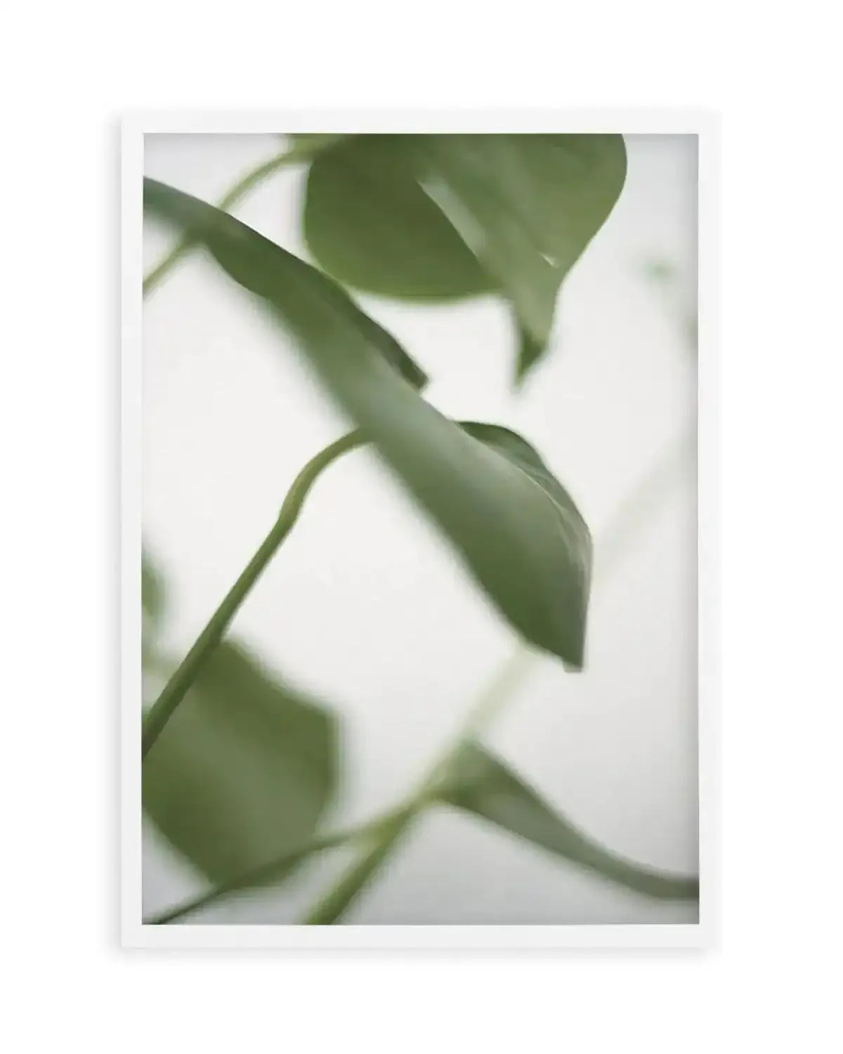 Monstera I Art Print from Olive et Oriel where you can shop wallpaper and artworks online