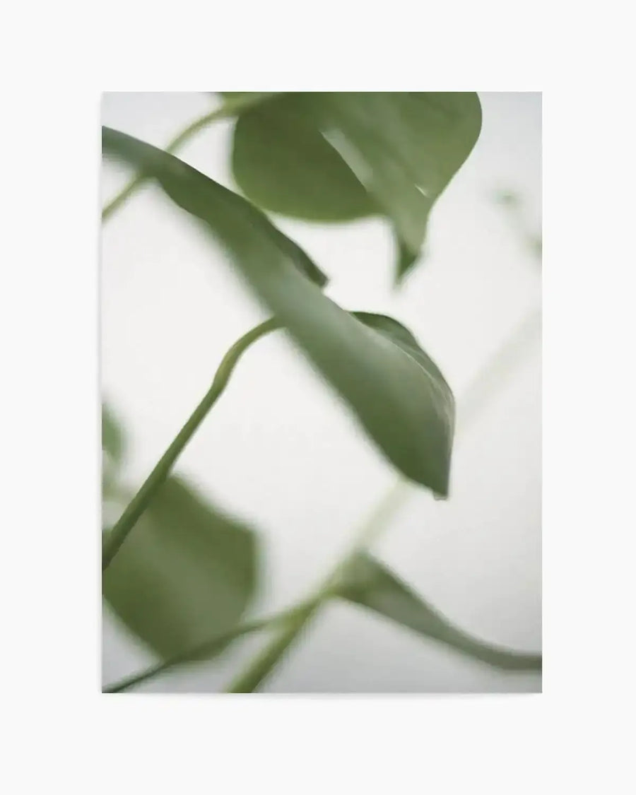 Monstera I Art Print art print, framed