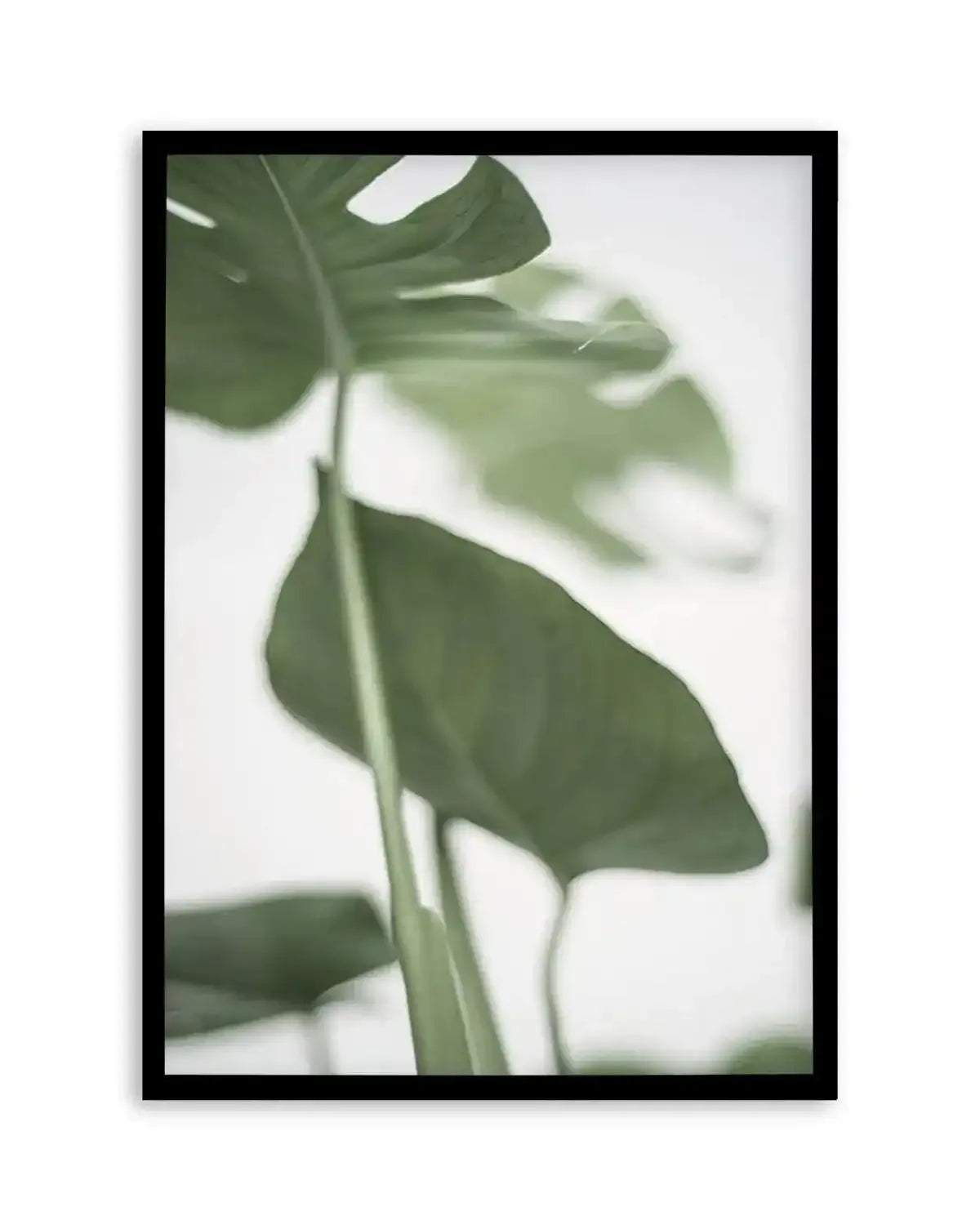 Monstera II Art Print from Olive et Oriel where you can shop wallpaper and artworks online