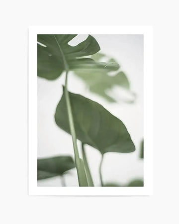 Monstera II Art Print art print, framed