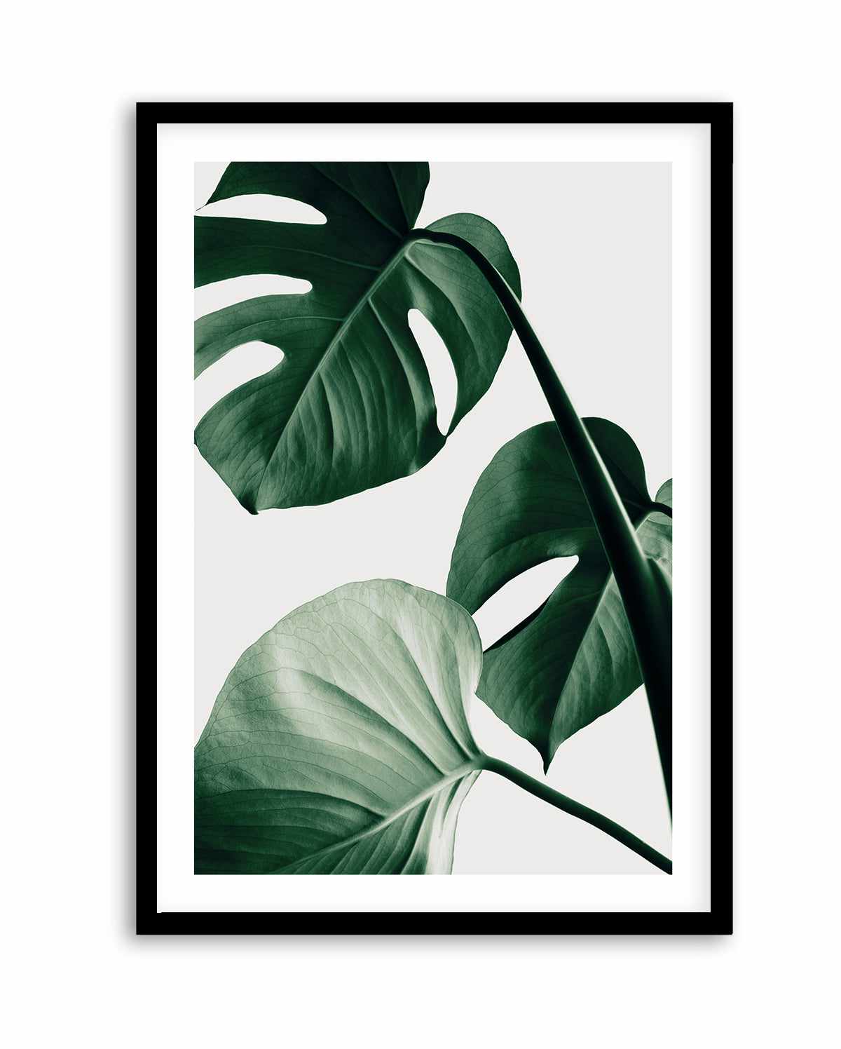 Monstera Natural 42 By Studio III | Art Print