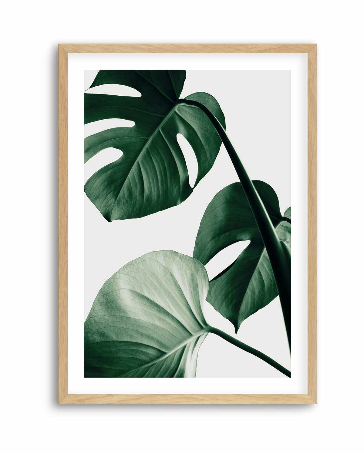 Monstera Natural 42 By Studio III | Art Print