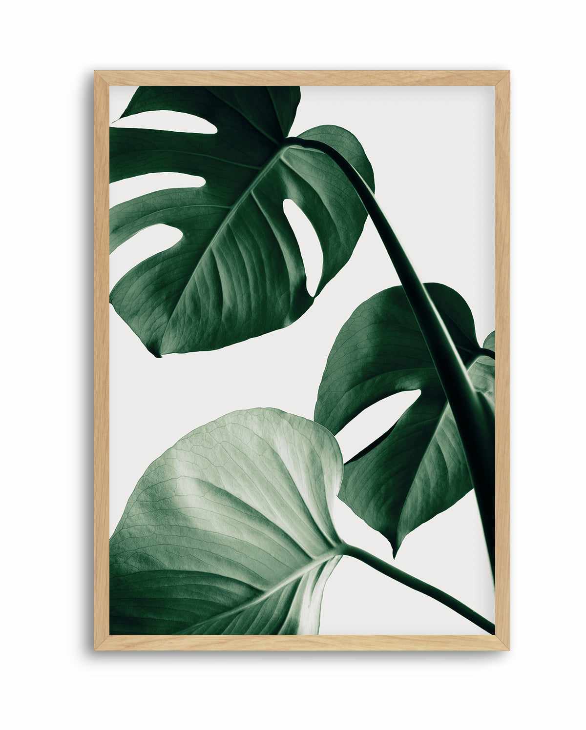 Monstera Natural 42 By Studio III | Art Print