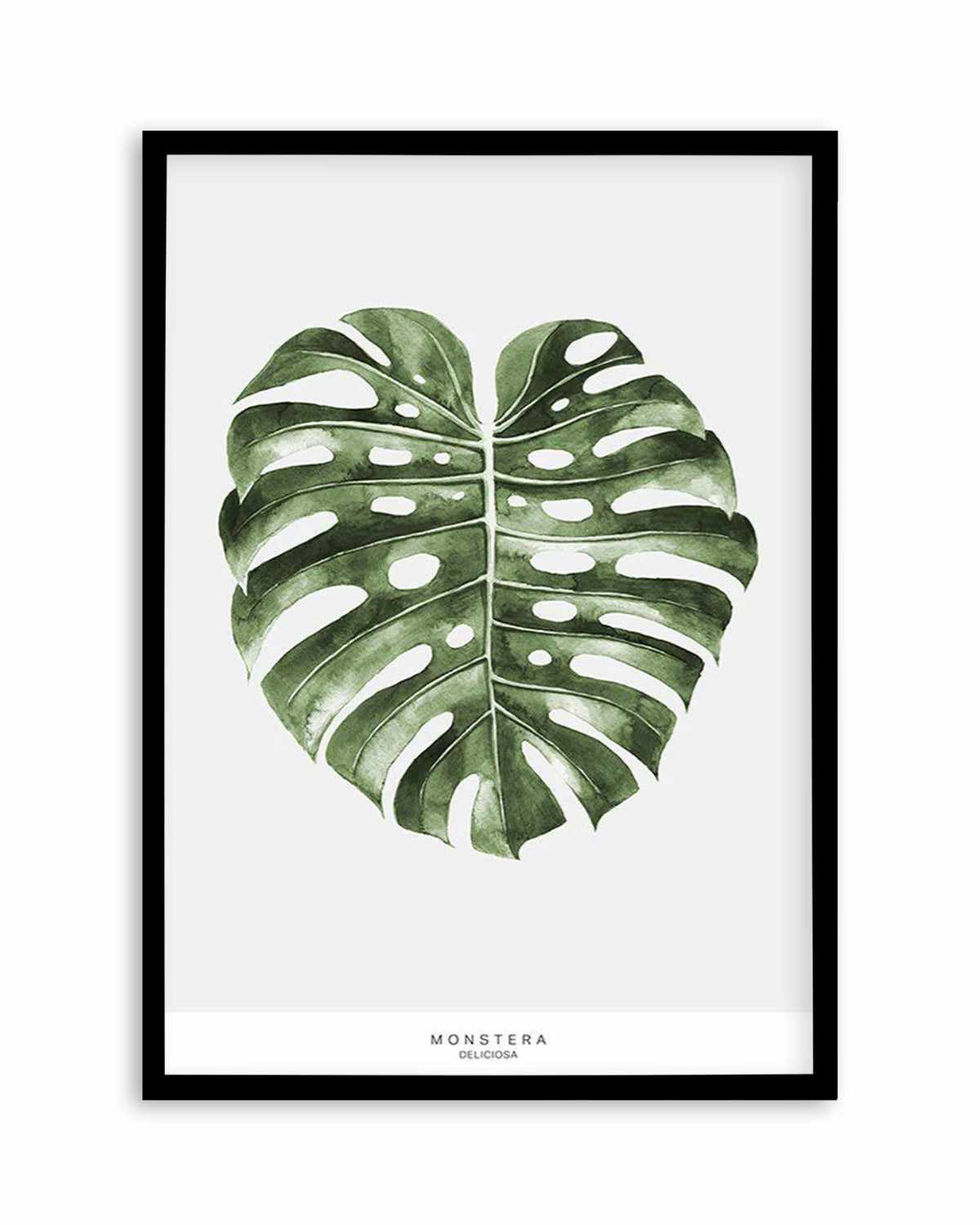 Monstera Palm Art Print