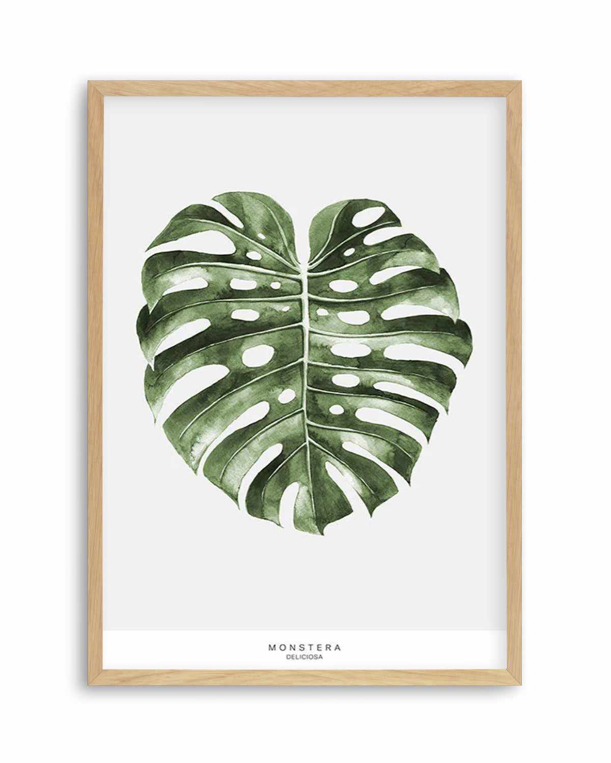 Monstera Palm Art Print