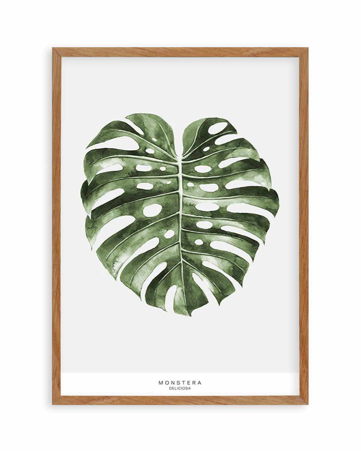 Monstera Palm Art Print