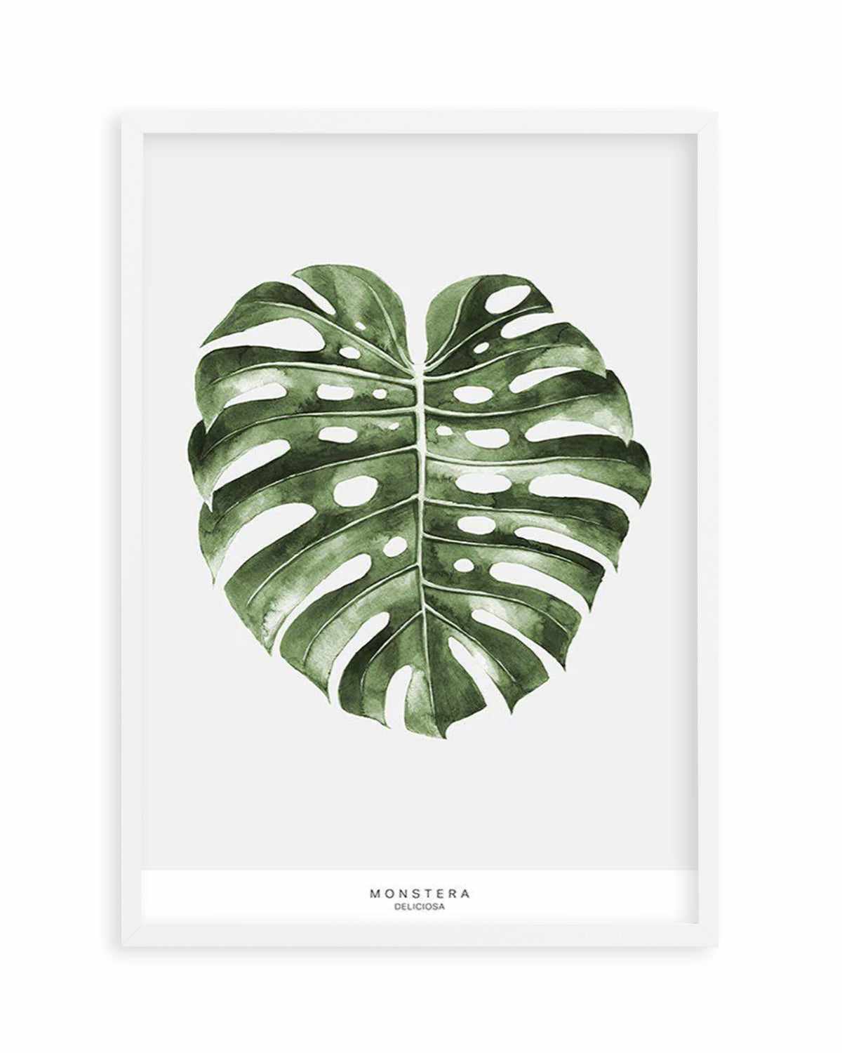 Monstera Palm Art Print