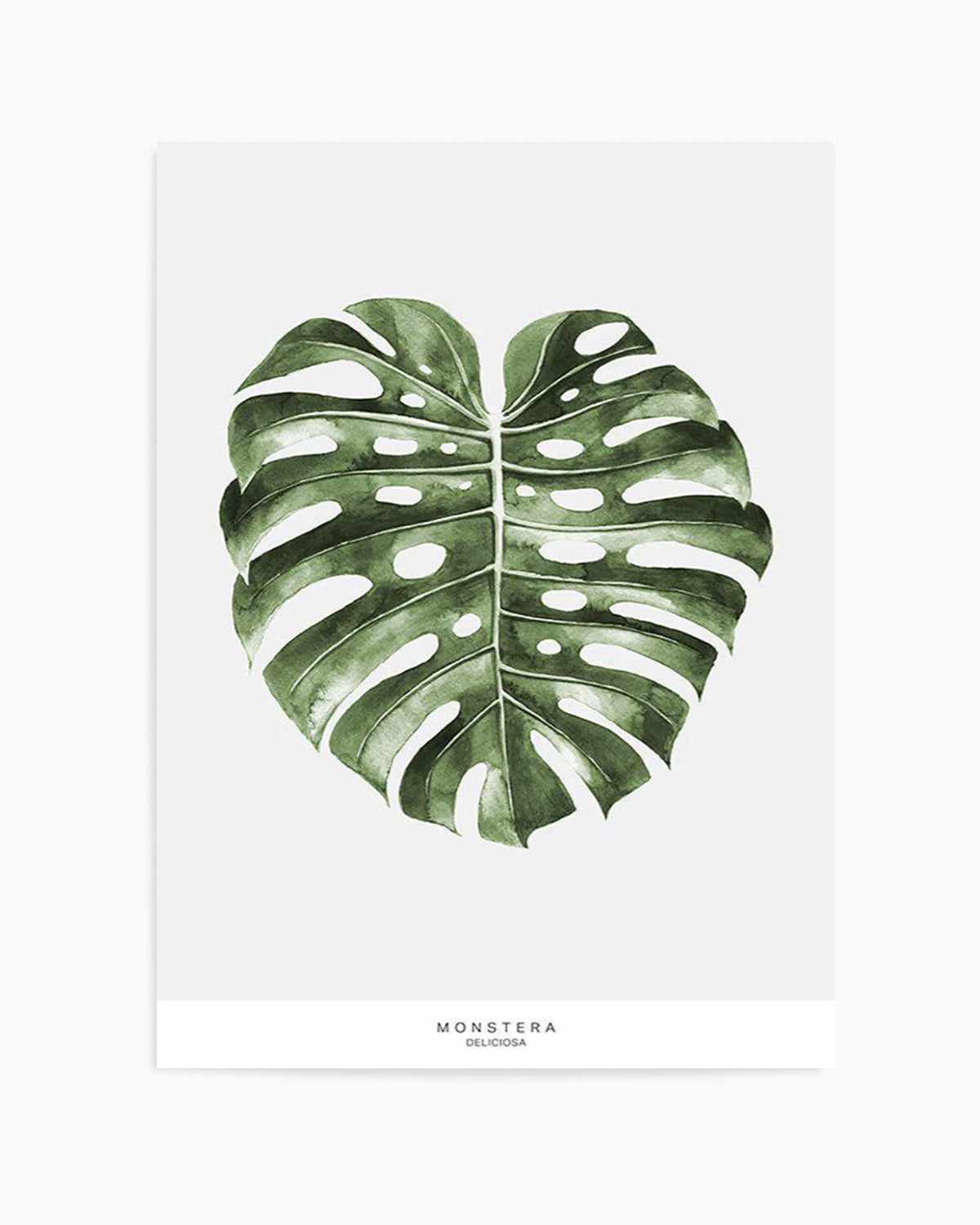 Monstera Palm Art Print