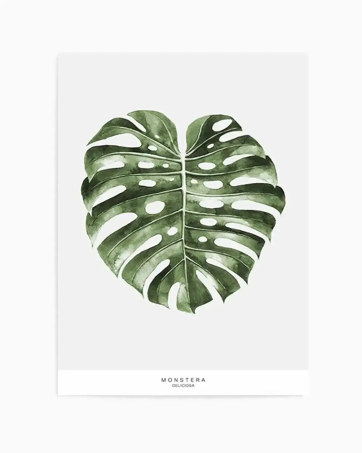 Monstera Palm Art Print from Olive et Oriel where you can shop wallpaper and artworks online