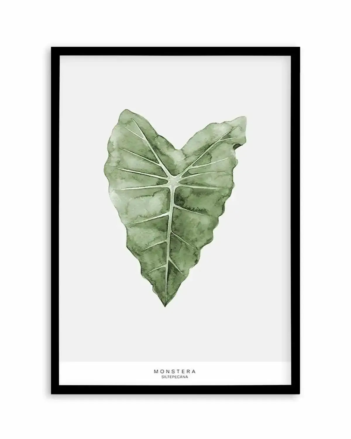 Monstera Siltepecana Art Print from Olive et Oriel where you can shop wallpaper and artworks online