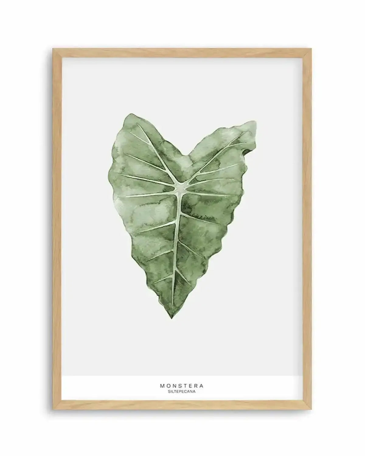 Monstera Siltepecana Art Print from Olive et Oriel where you can shop wallpaper and artworks online