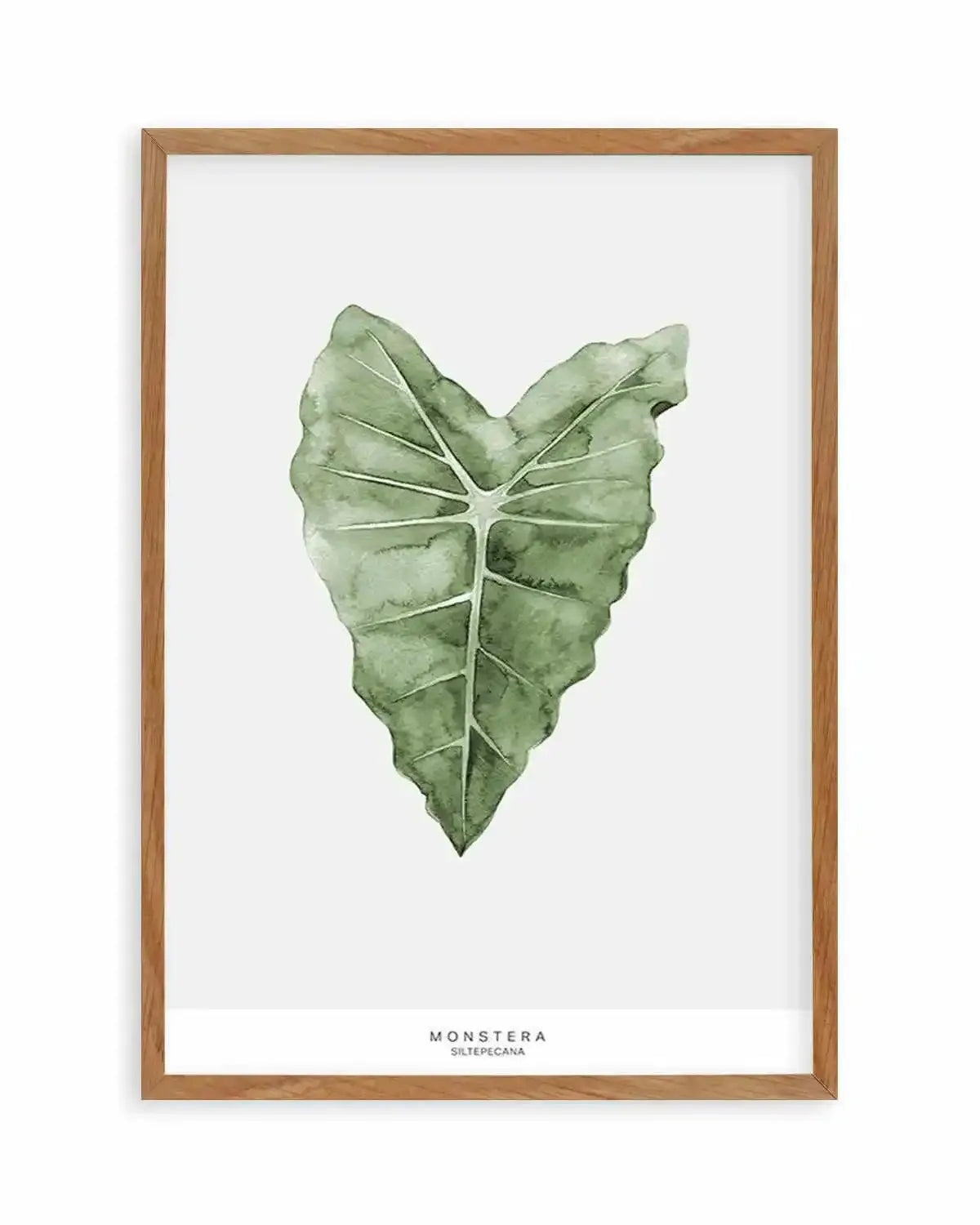 Monstera Siltepecana Art Print from Olive et Oriel where you can shop wallpaper and artworks online