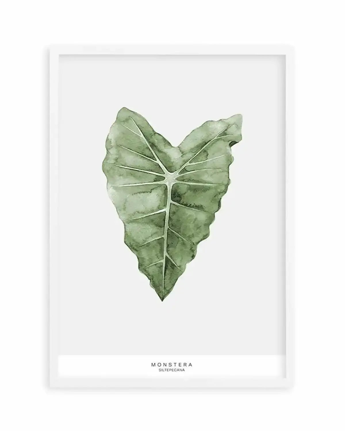 Monstera Siltepecana Art Print from Olive et Oriel where you can shop wallpaper and artworks online