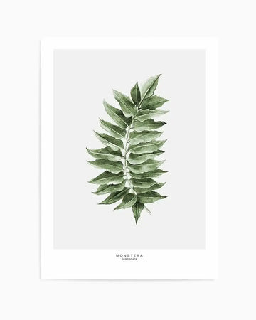 Watercolour art print featuring a single Monstera Subpinatta palm leaf in various shades of green, with a central stem and numerous smaller, elongated leaves branching off, printed on fine art paper. The artwork has a light, airy quality with visible brushstroke texture.