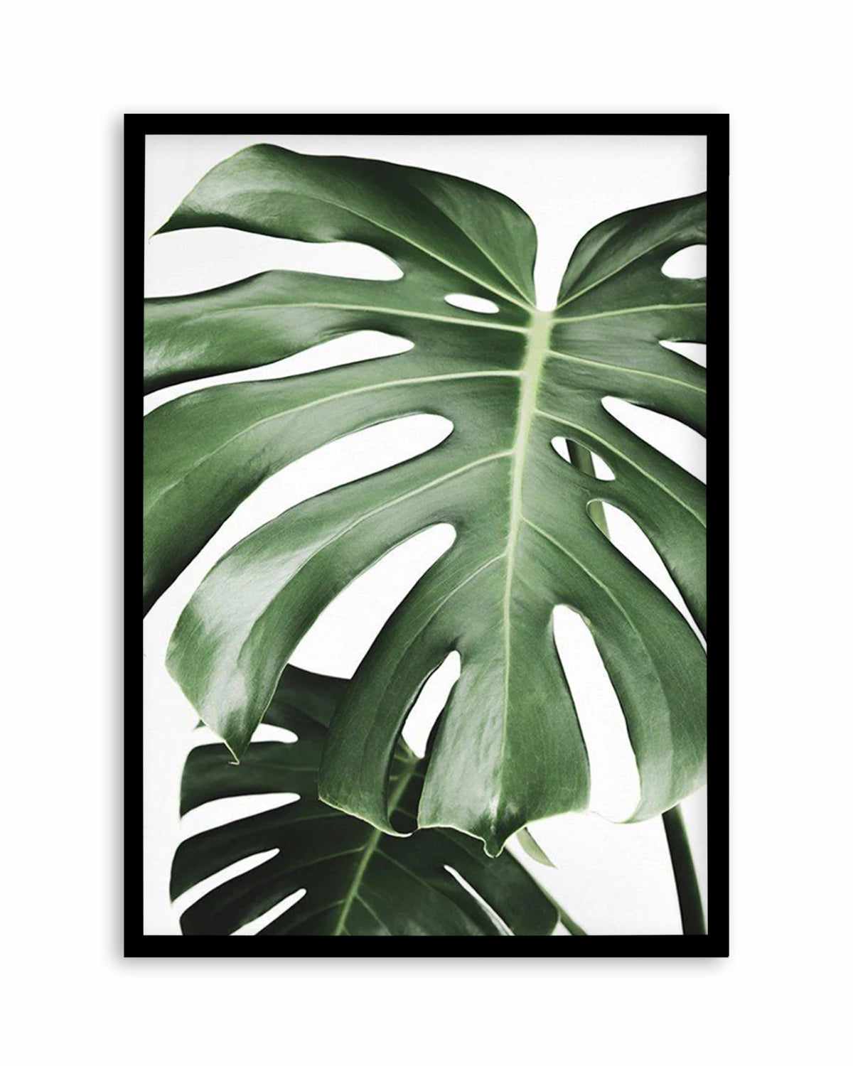 Monstera X Two Art Print