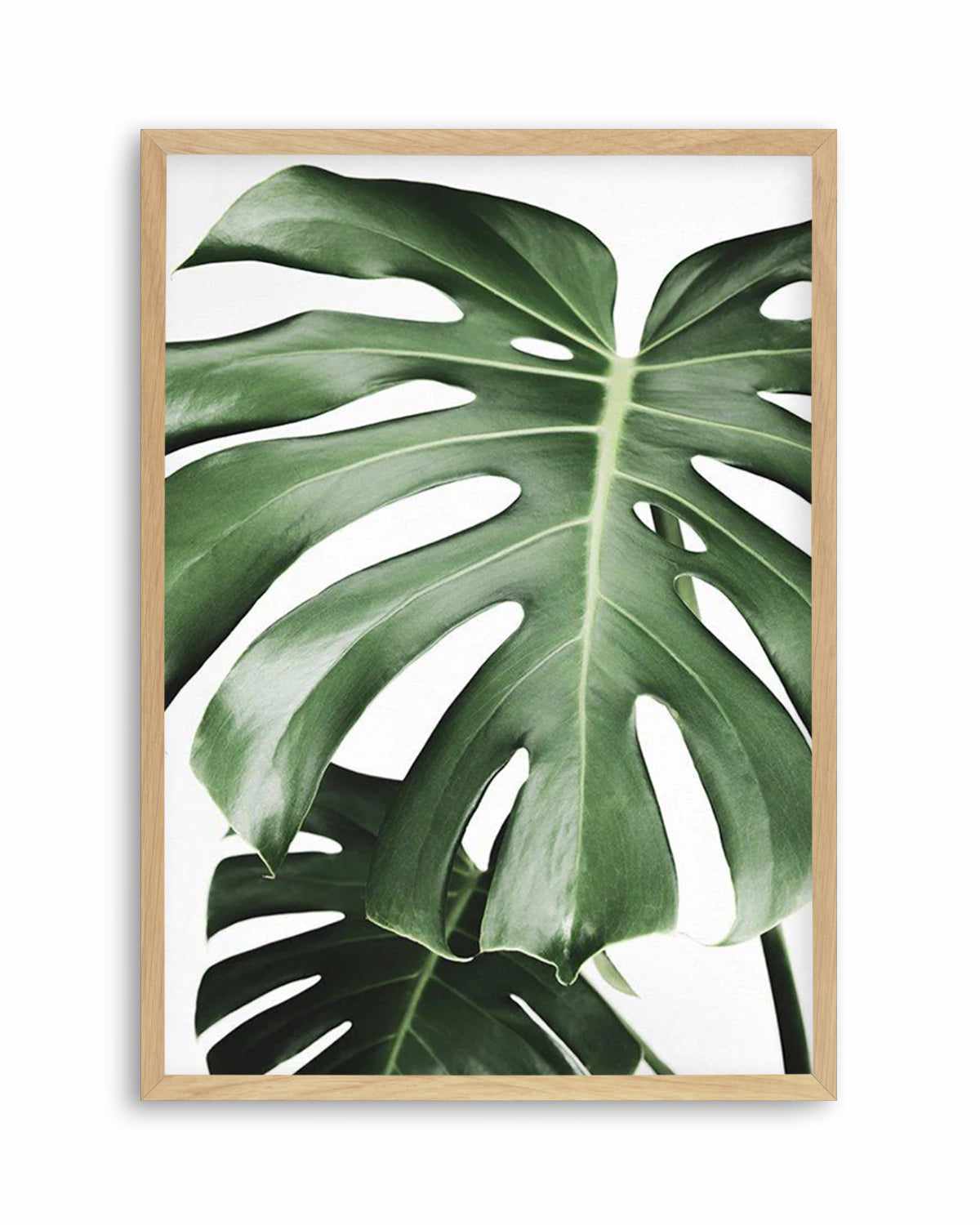 Monstera X Two Art Print