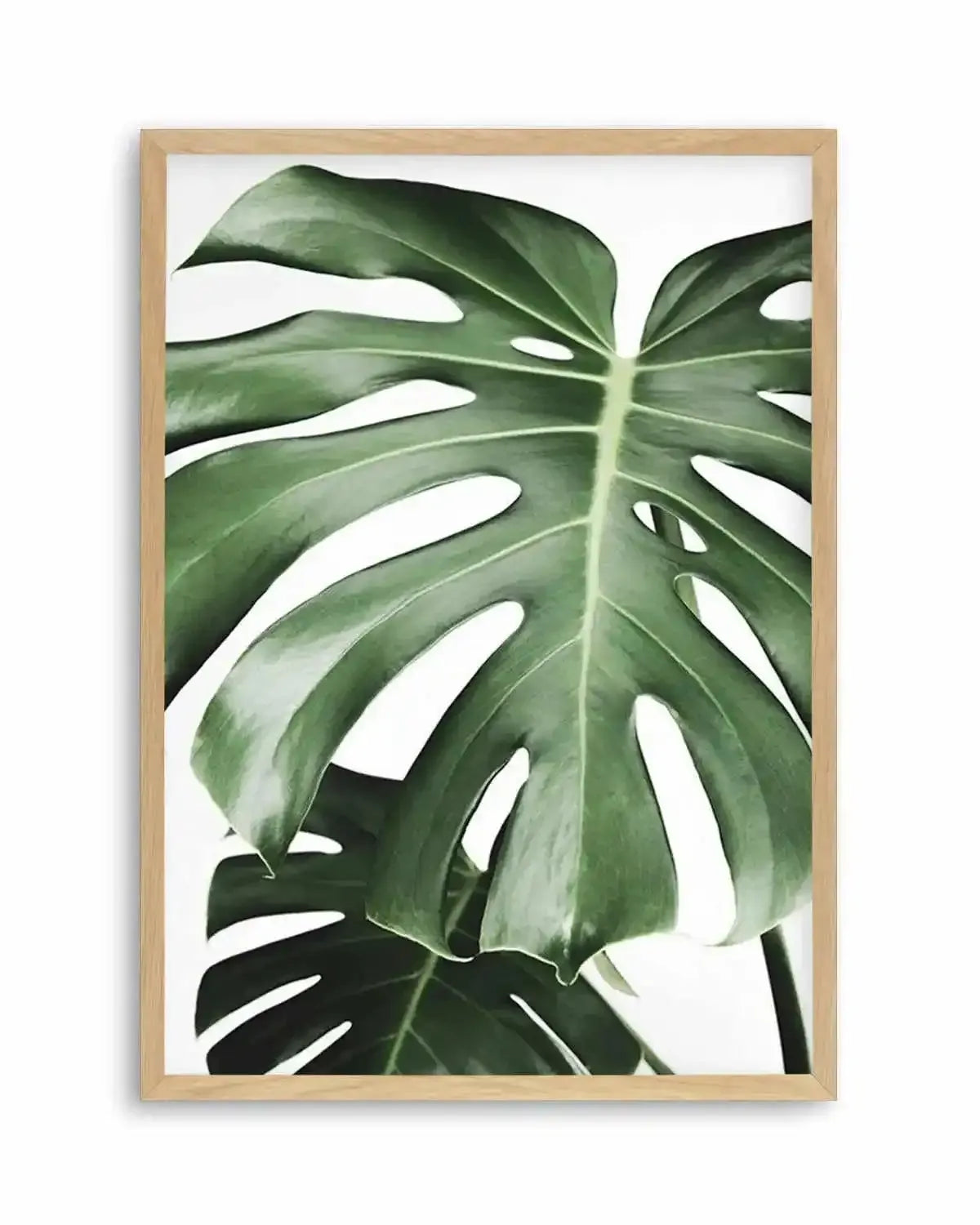 Monstera X Two Art Print from Olive et Oriel where you can shop wallpaper and artworks online