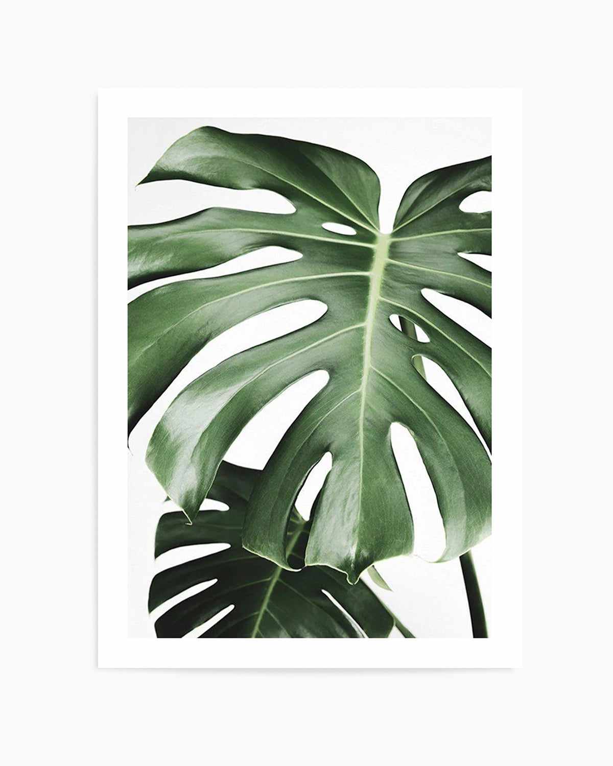 Monstera X Two Art Print