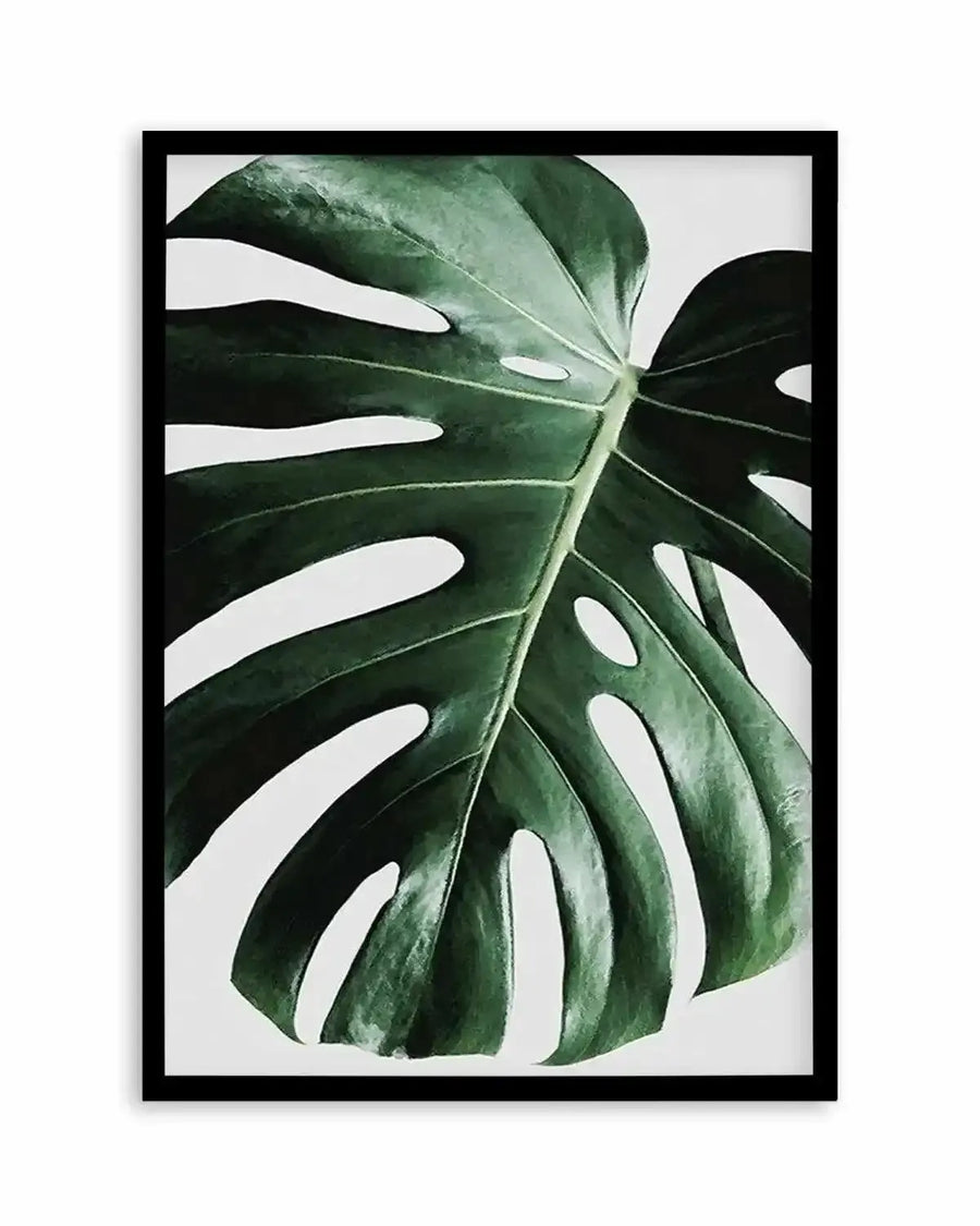 Monstera  On Grey Art Print art print, framed