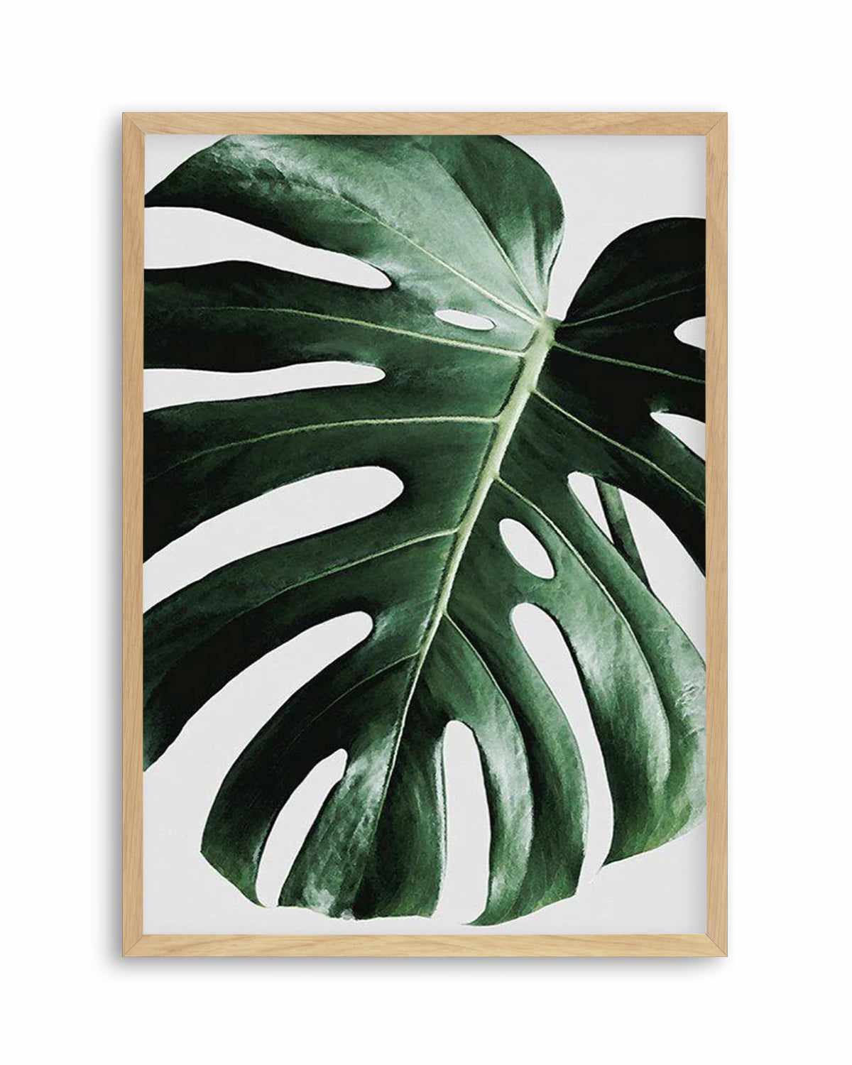 Monstera | On Grey Art Print