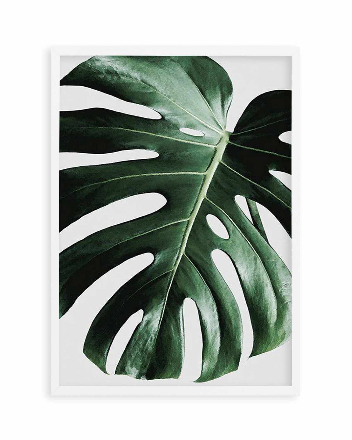 Monstera | On Grey Art Print