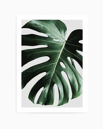 Monstera  On Grey Art Print art print, framed