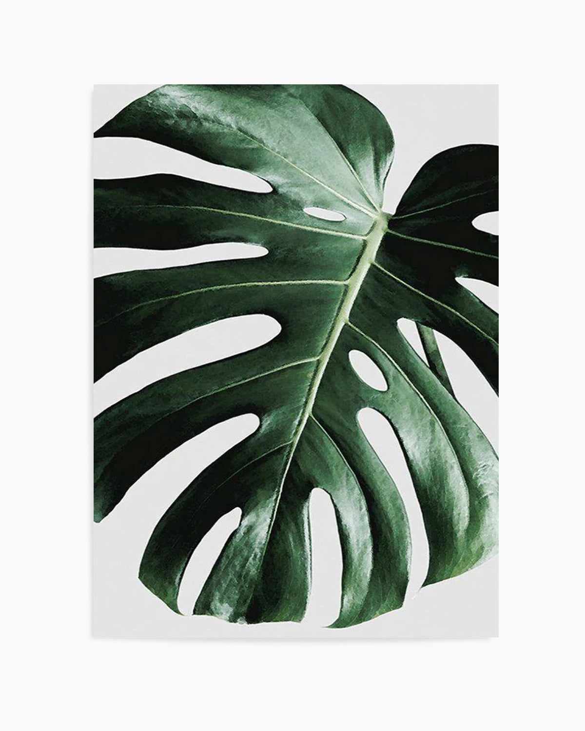 Monstera | On Grey Art Print