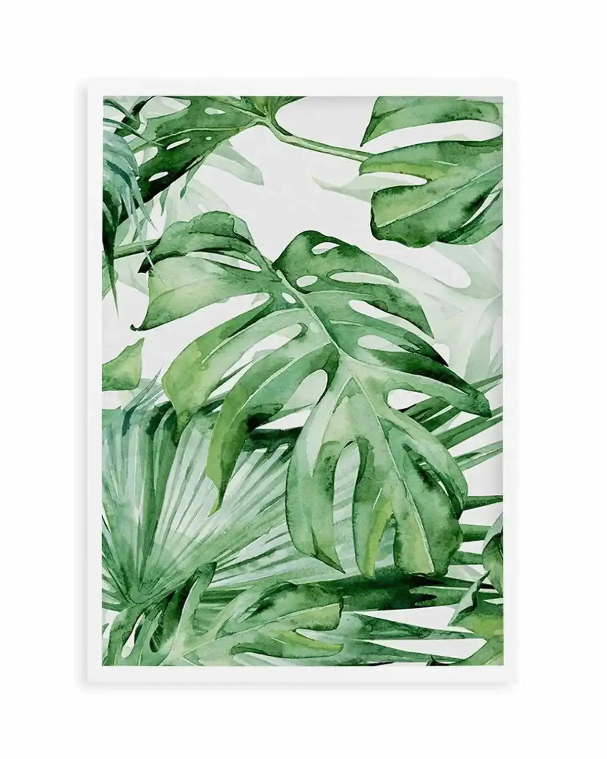 Monstera in Watercolour I Art Print from Olive et Oriel where you can shop wallpaper and artworks online