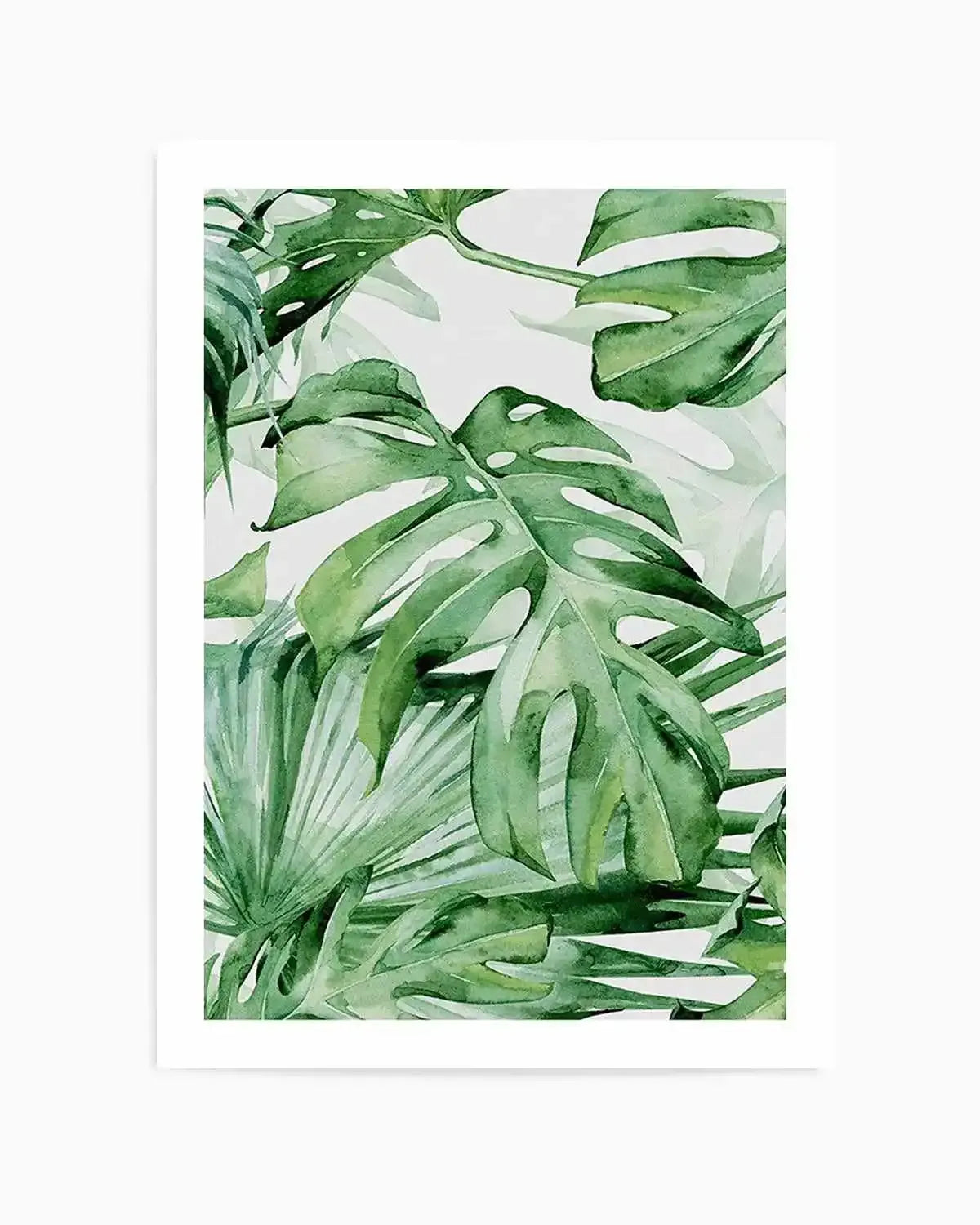 split leaf philodendron art Botanical Wall Art Print