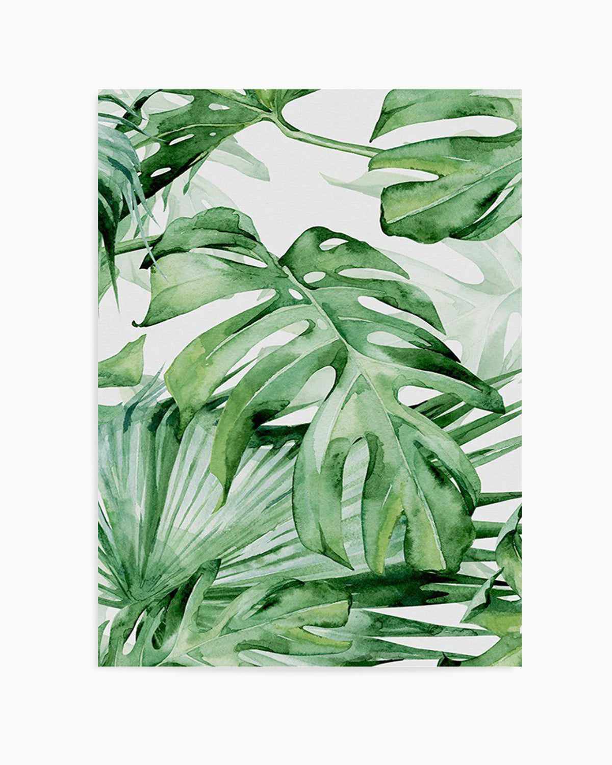 Monstera in Watercolour I Art Print