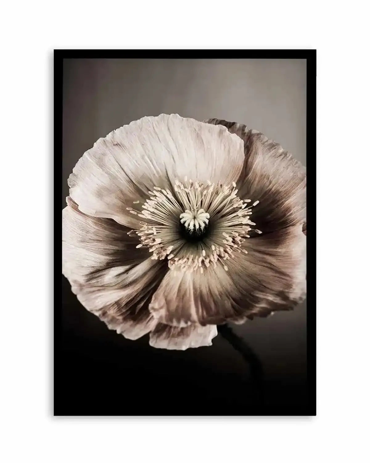 Moodier Than Thou Art Print from Olive et Oriel where you can shop wallpaper and artworks online