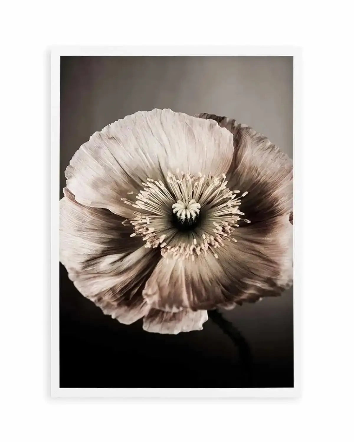 Moodier Than Thou Art Print from Olive et Oriel where you can shop wallpaper and artworks online