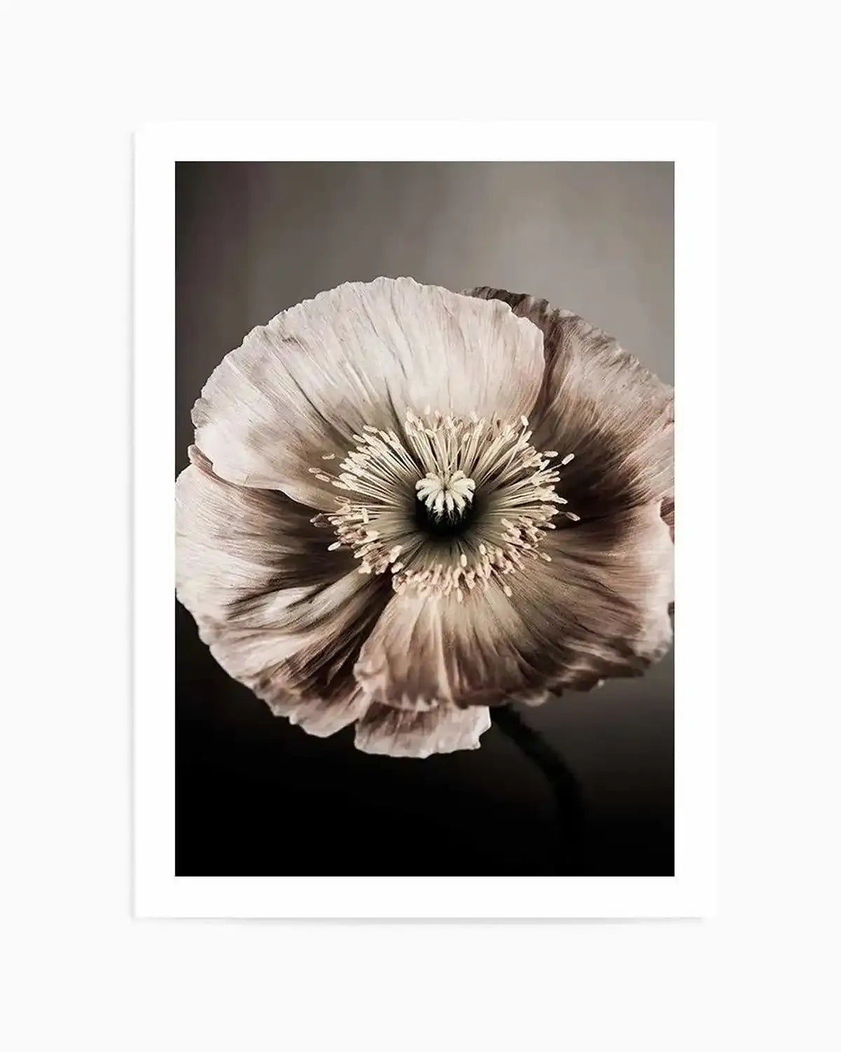 Moodier Than Thou Art Print from Olive et Oriel where you can shop wallpaper and artworks online