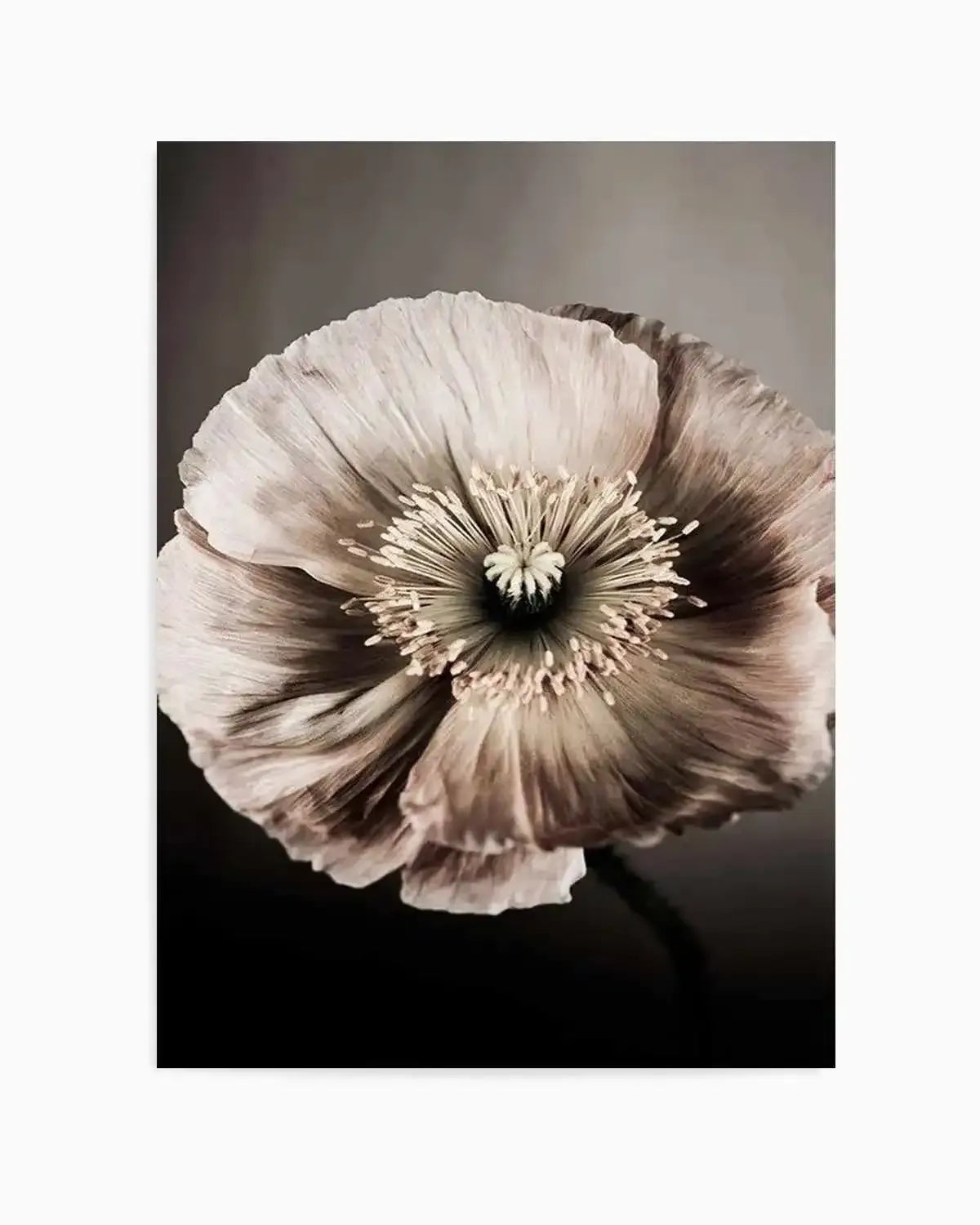 Moodier Than Thou Art Print from Olive et Oriel where you can shop wallpaper and artworks online