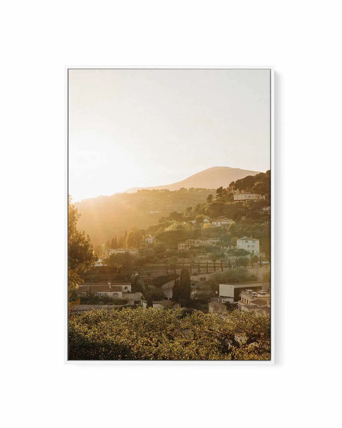 Morning Sun Provence by Jovani Demetrie | Framed Canvas Art Print from Olive et Oriel where you can shop wallpaper and artworks online