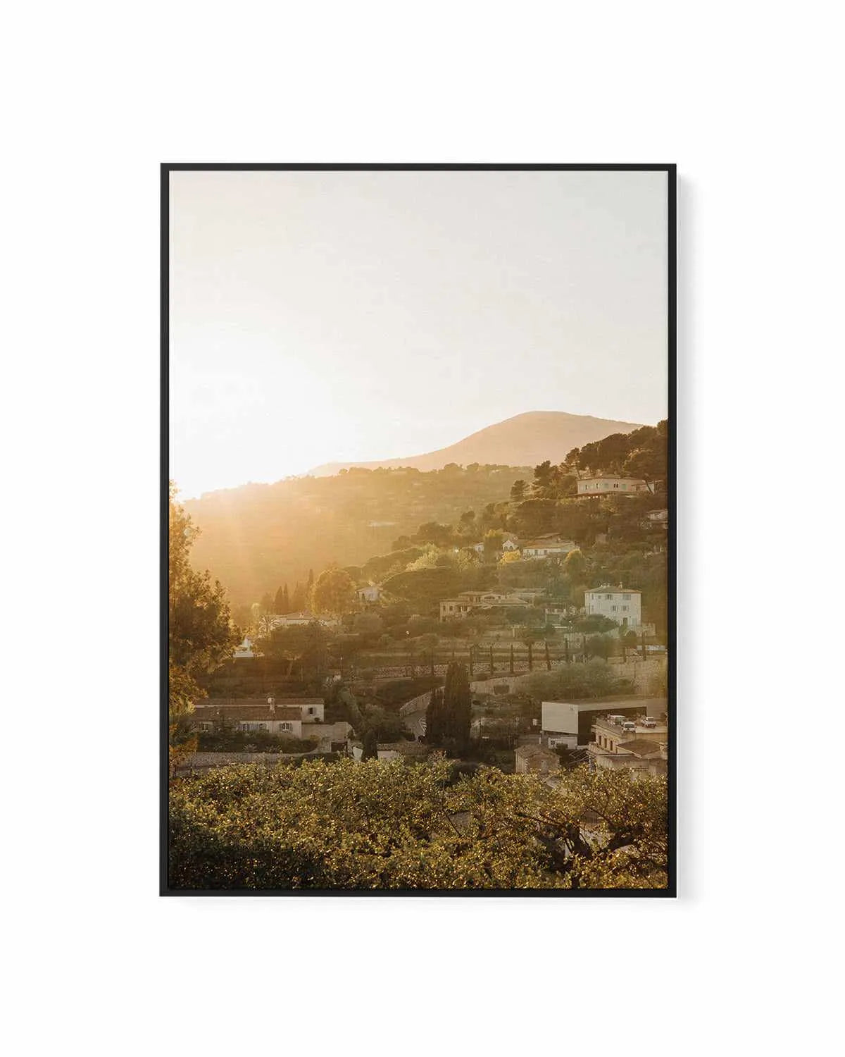 Morning Sun Provence by Jovani Demetrie | Framed Canvas Art Print from Olive et Oriel where you can shop wallpaper and artworks online