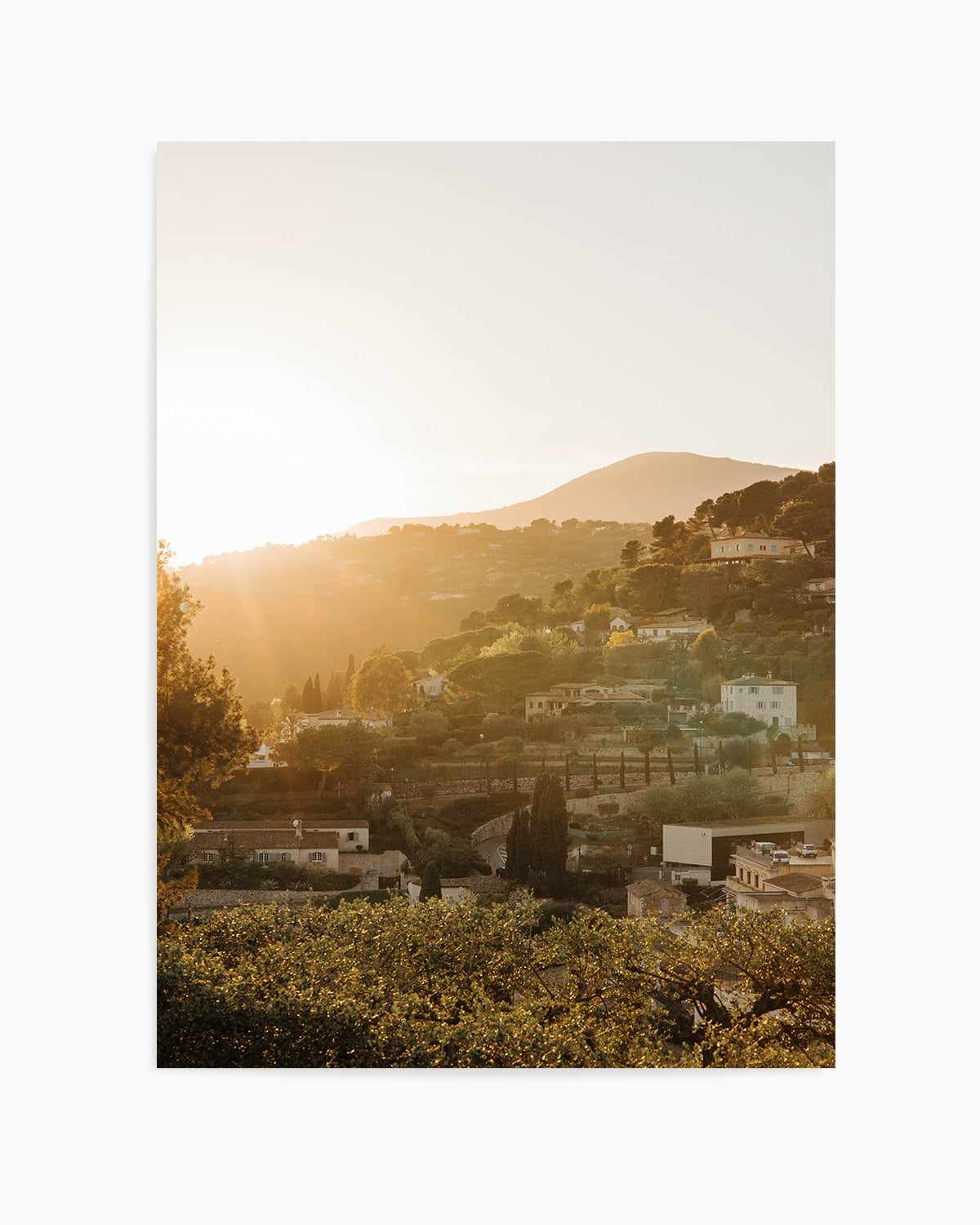 Morning Sun Provence by Jovani Demetrie Art Print