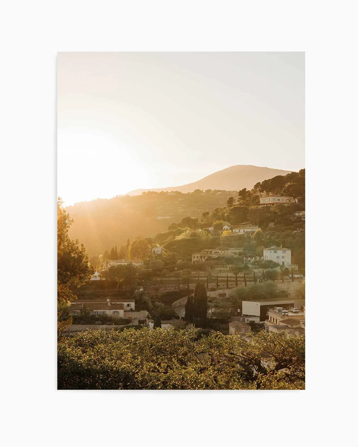 Morning Sun Provence by Jovani Demetrie Art Print from Olive et Oriel where you can shop wallpaper and artworks online