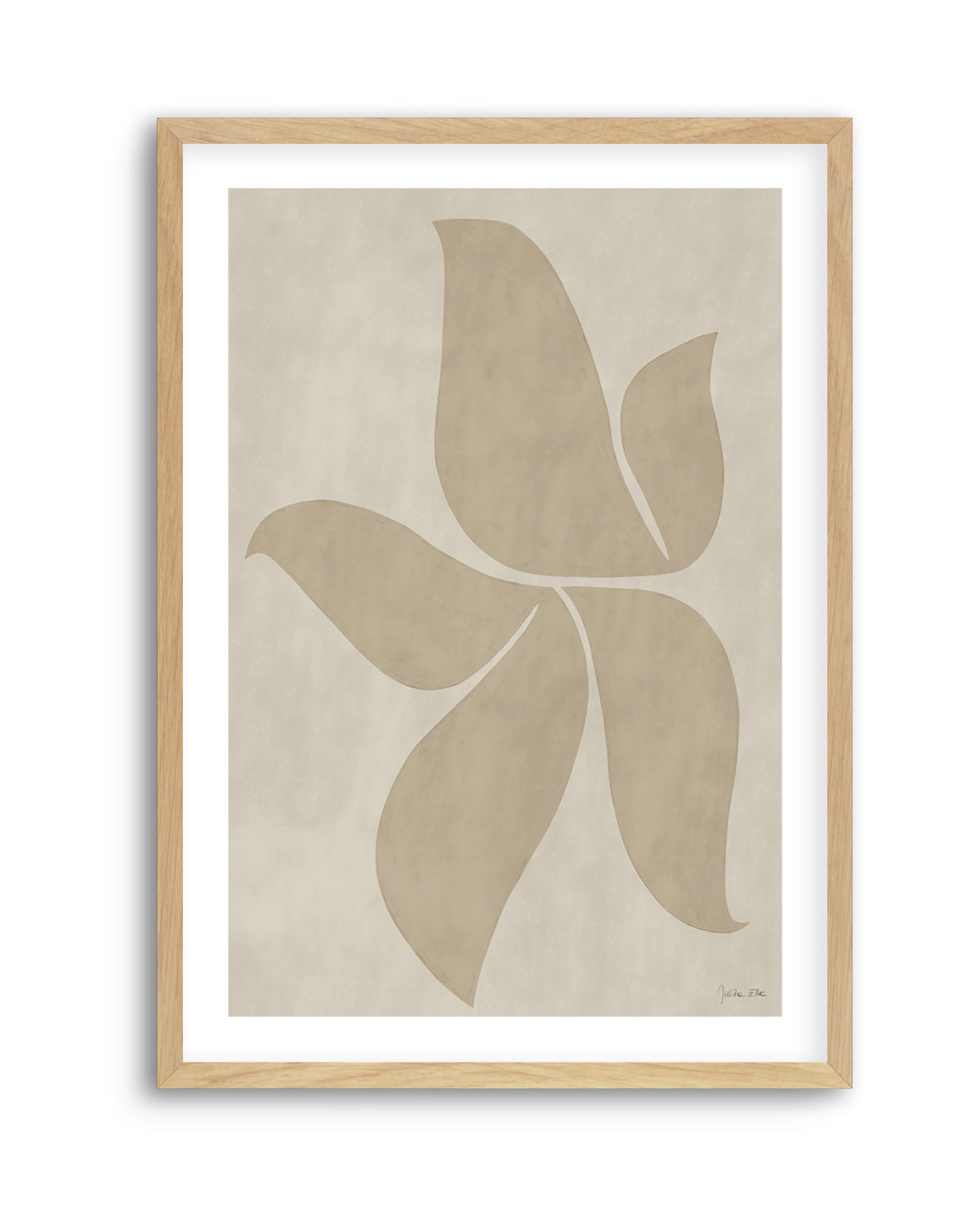 Morning Tulip by Julita Elbe | Art Print