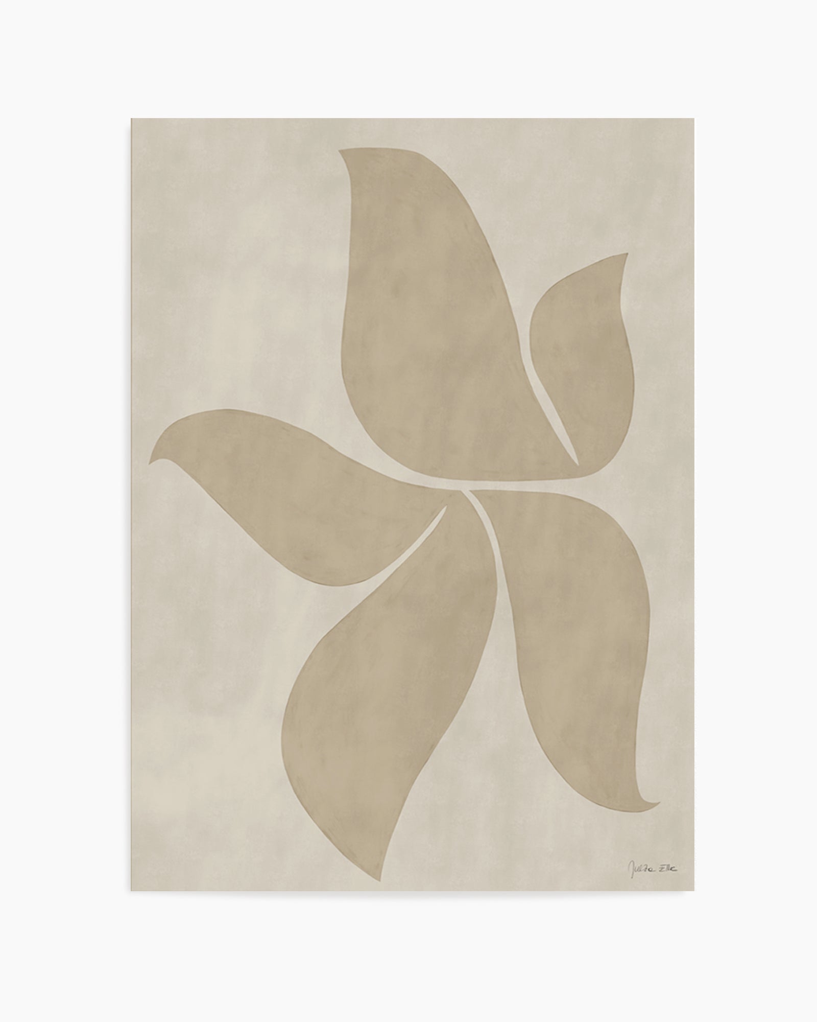 Morning Tulip by Julita Elbe | Art Print