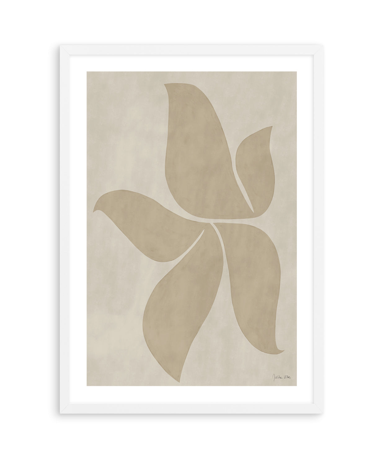 Morning Tulip by Julita Elbe | Art Print