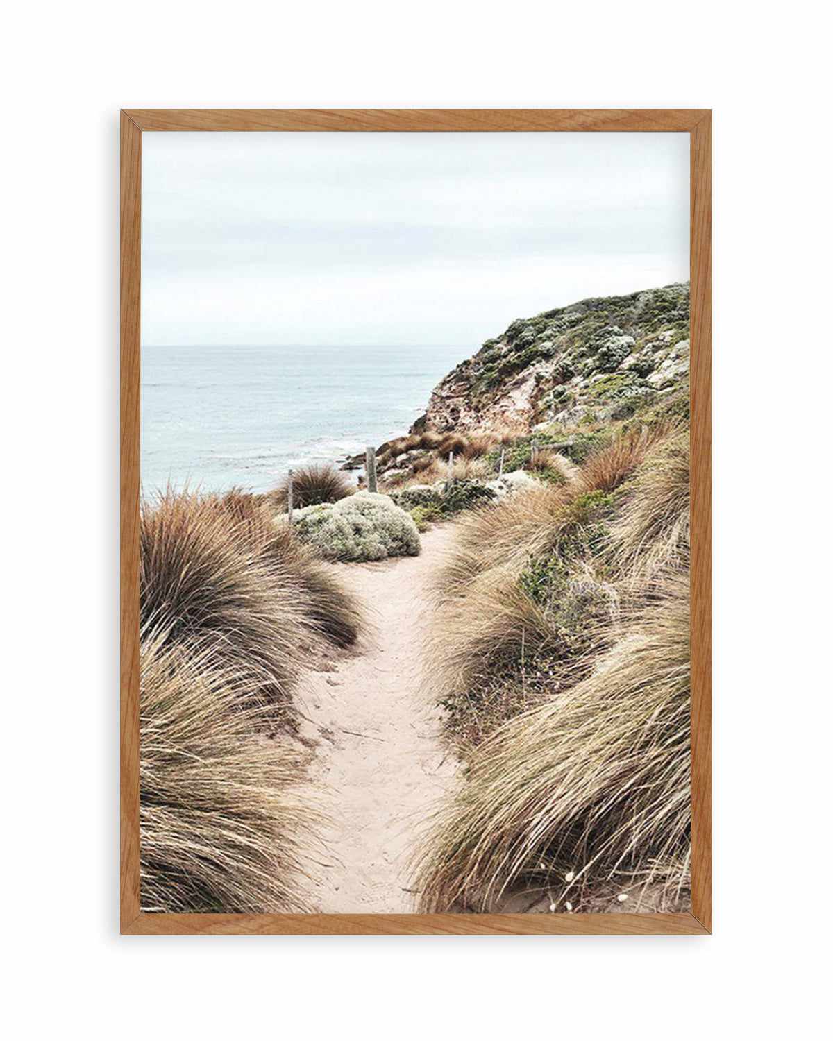 Mornington View, Victoria Art Print