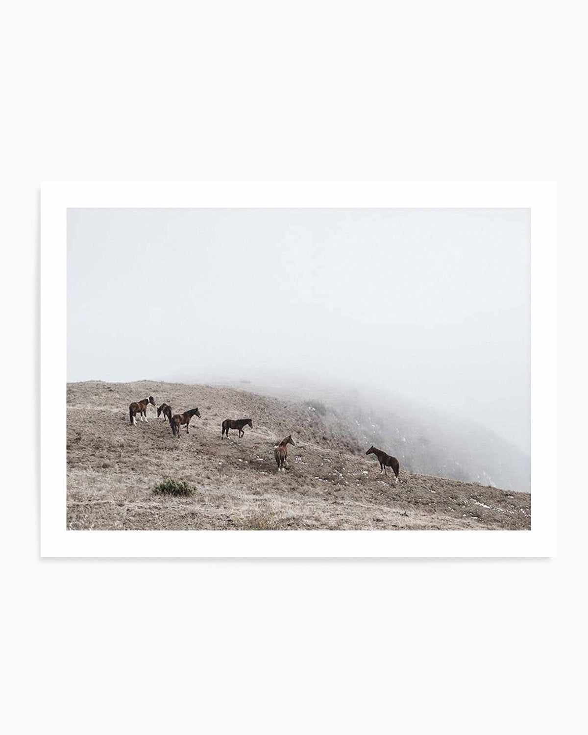 Mountain Horses | LS Art Print