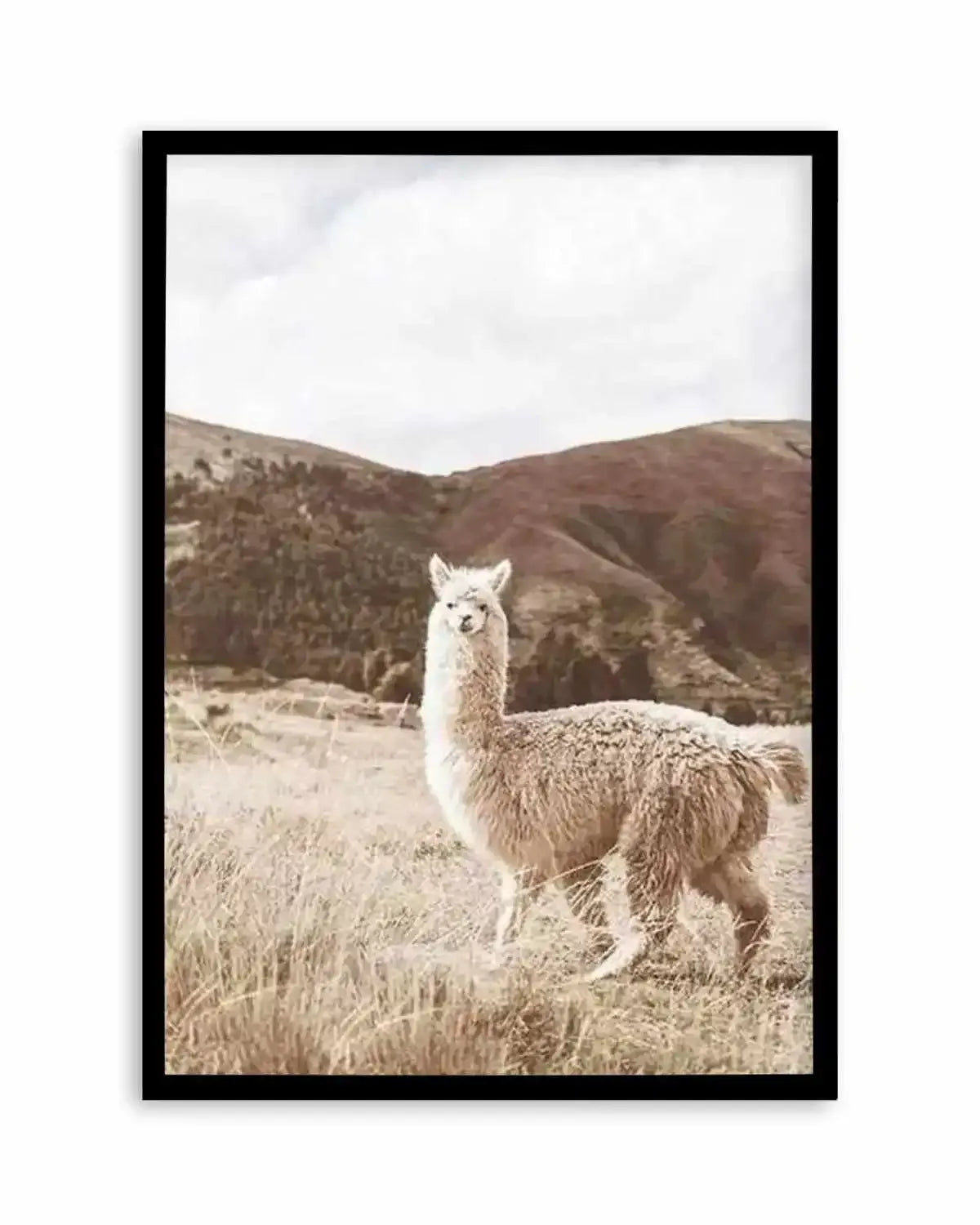 Mountain Llama Art Print from Olive et Oriel where you can shop wallpaper and artworks online