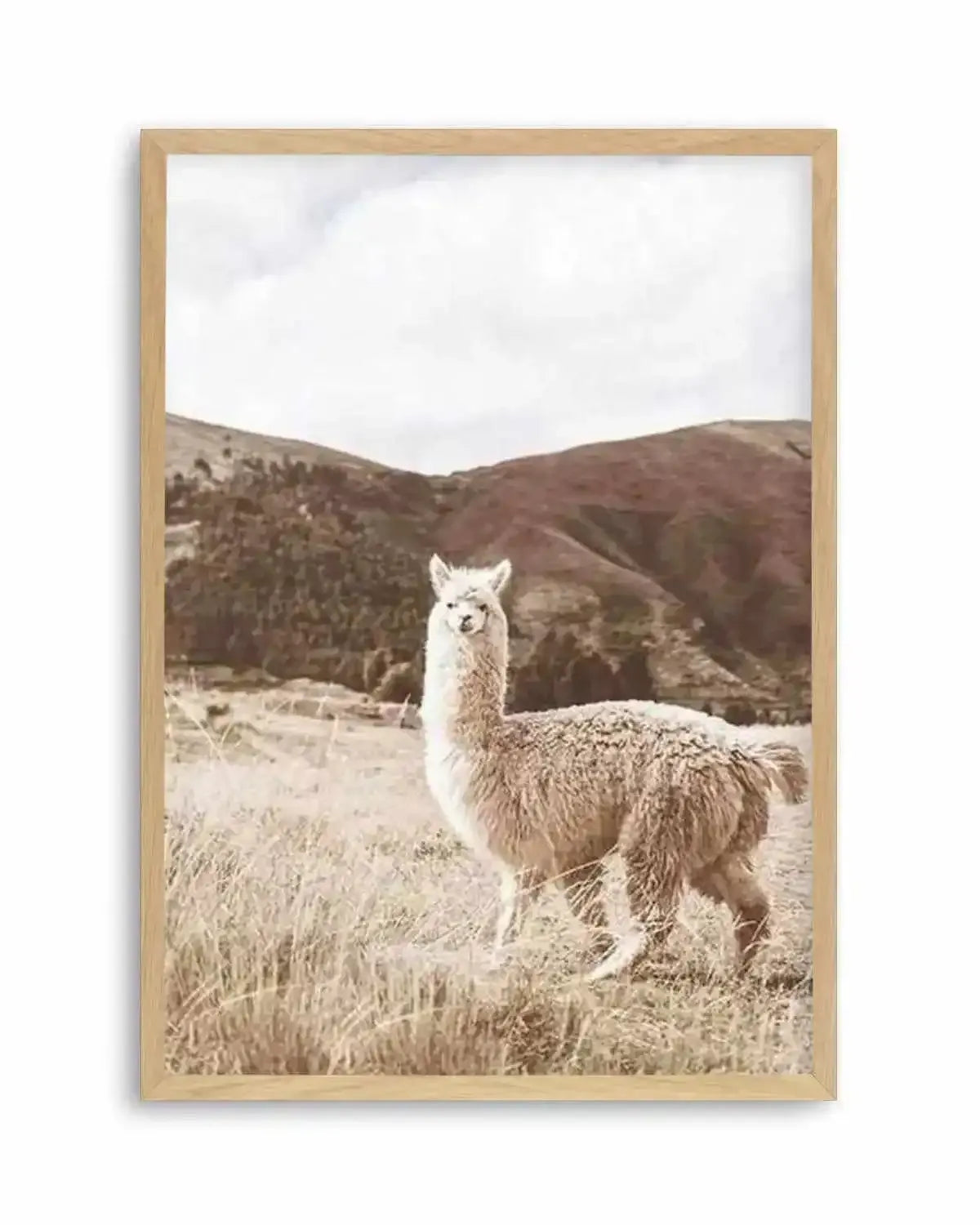 Mountain Llama Art Print from Olive et Oriel where you can shop wallpaper and artworks online