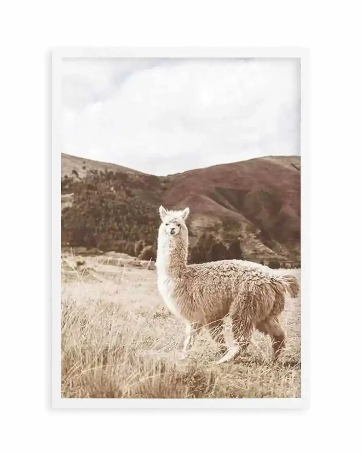 Mountain Llama Art Print from Olive et Oriel where you can shop wallpaper and artworks online