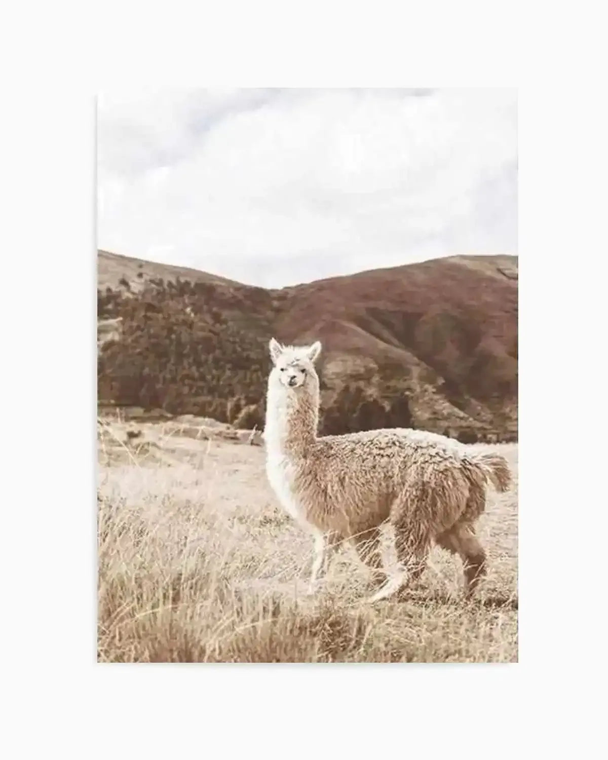 Mountain Llama Art Print from Olive et Oriel where you can shop wallpaper and artworks online